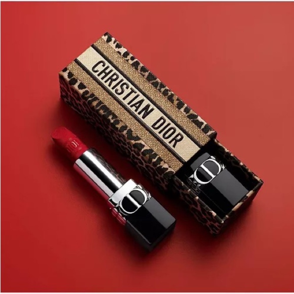 Christian dior lipstick case